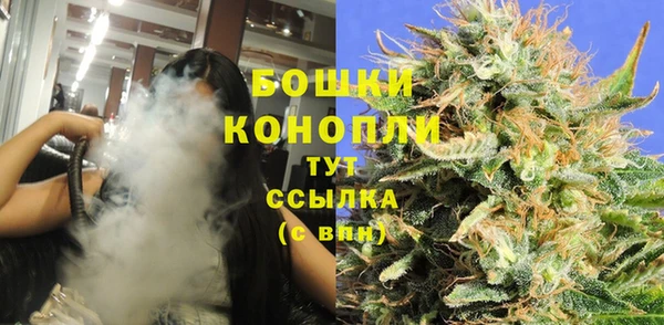 PSILOCYBIN Вязьма