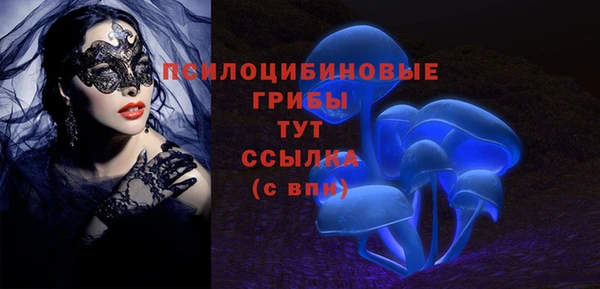 PSILOCYBIN Вязьма