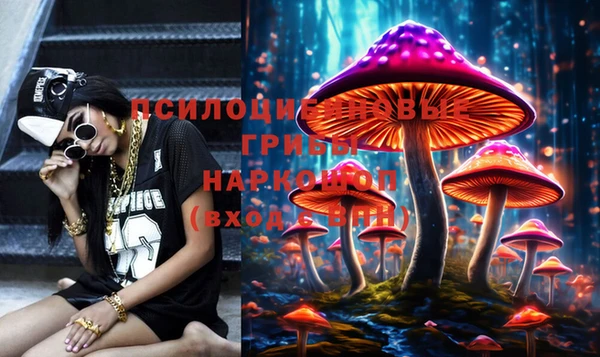 ПСИЛОЦИБИНОВЫЕ ГРИБЫ Волосово
